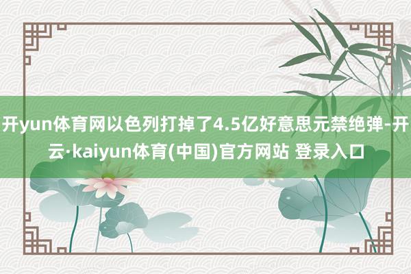 开yun体育网以色列打掉了4.5亿好意思元禁绝弹-开云·kaiyun体育(中国)官方网站 登录入口