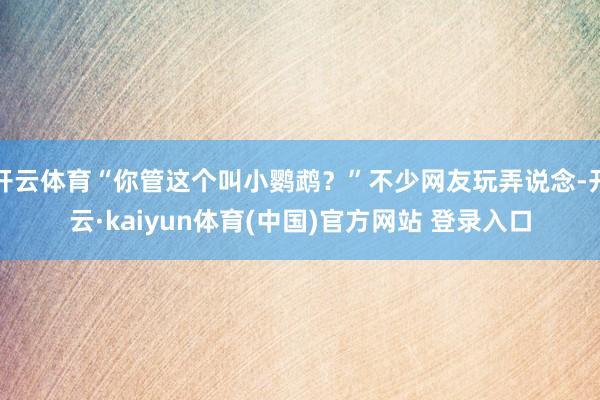 开云体育“你管这个叫小鹦鹉？”不少网友玩弄说念-开云·kaiyun体育(中国)官方网站 登录入口