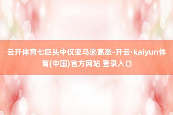 云开体育七巨头中仅亚马逊高涨-开云·kaiyun体育(中国)官方网站 登录入口