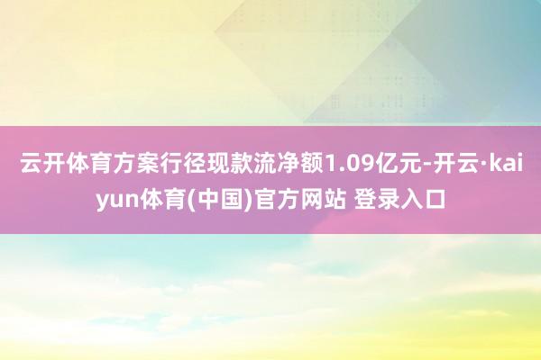 云开体育方案行径现款流净额1.09亿元-开云·kaiyun体育(中国)官方网站 登录入口